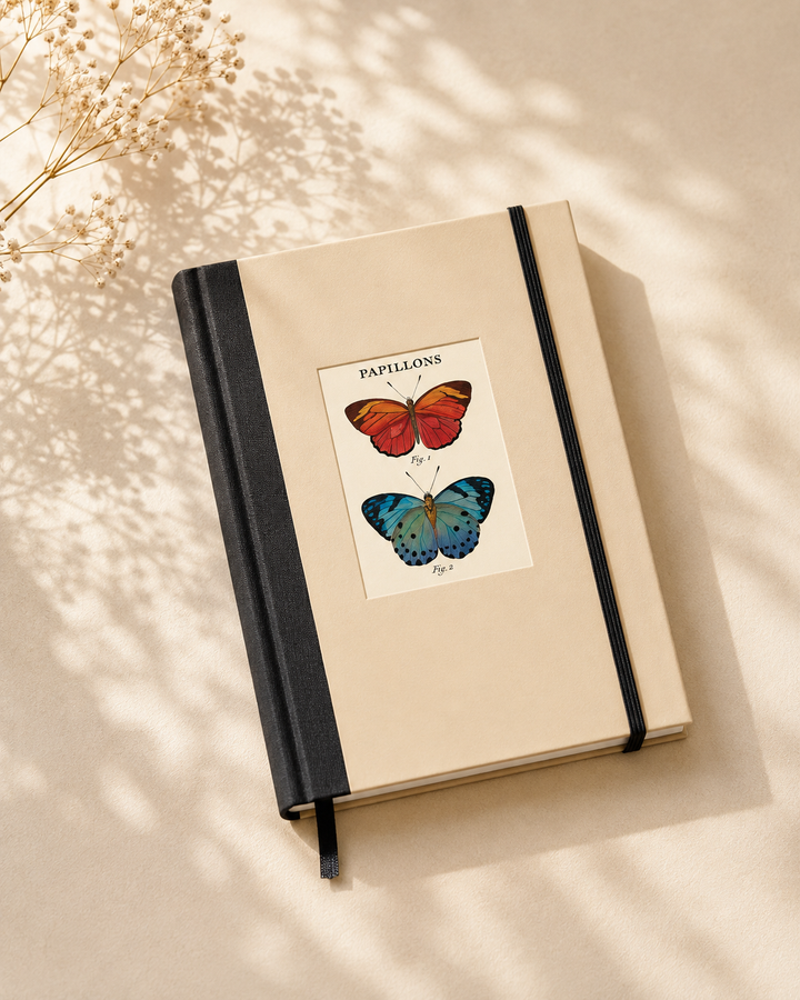 دفتر مسطر Butterflies