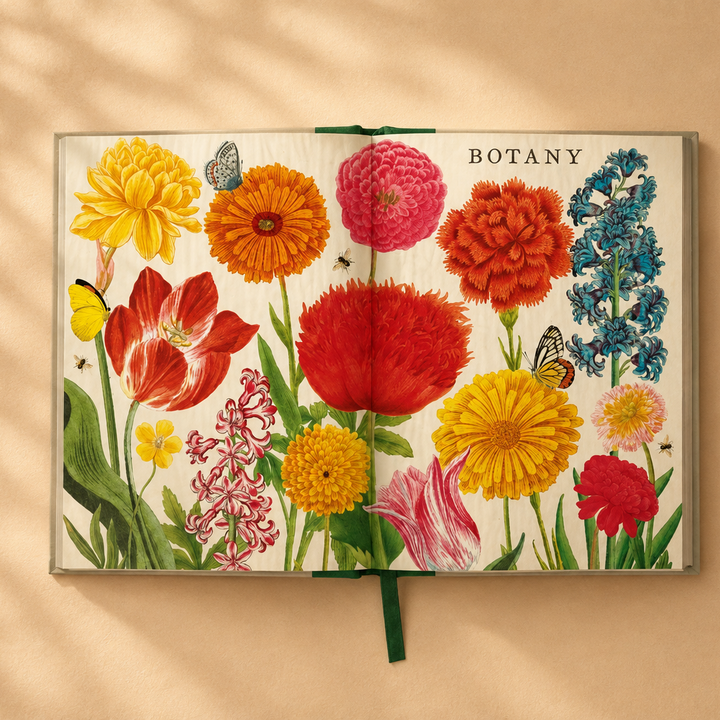 دفتر مسطر BOTANY